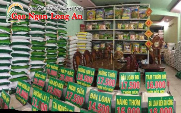 Cung cấp gạo cho đại lý 